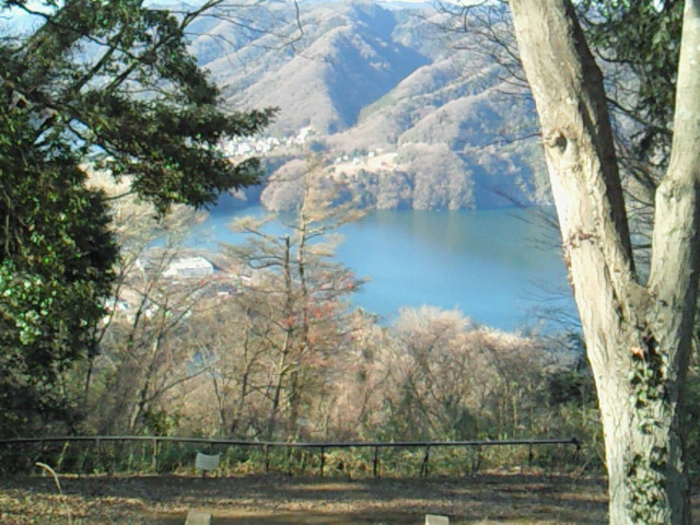 城山の山頂から津久井湖を見下ろしたところ