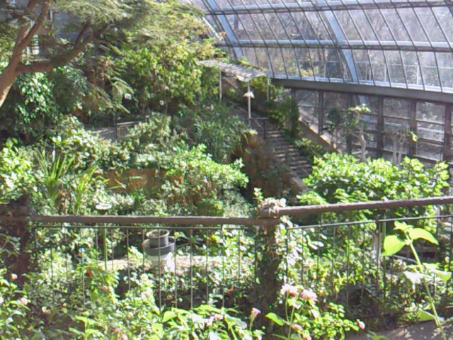 昆虫生態園の温室