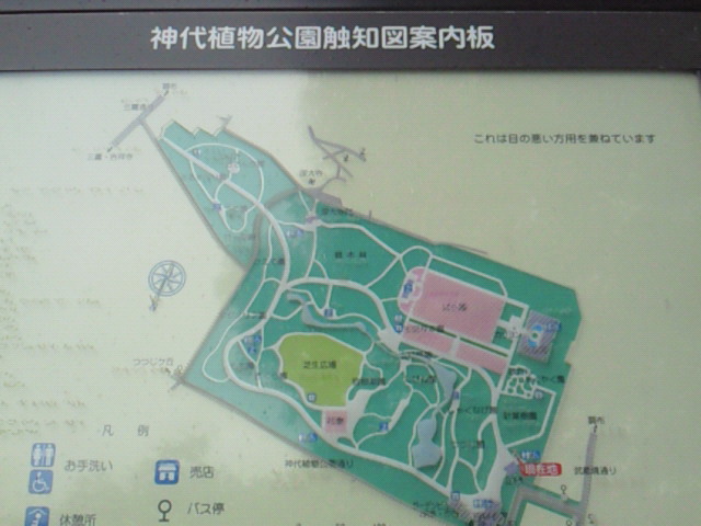 神代植物公園の案内図