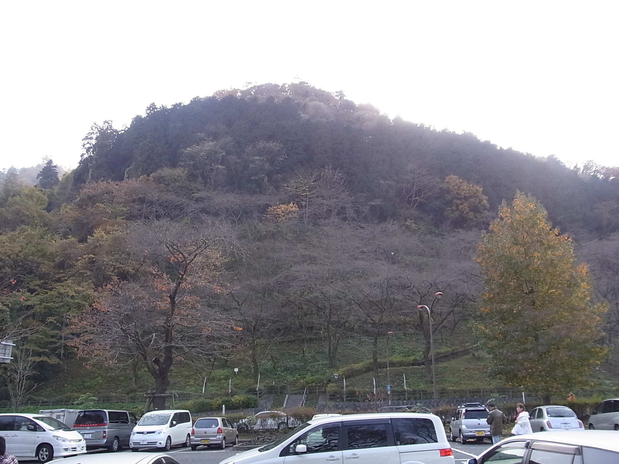 花の苑地駐車場から見た城山
