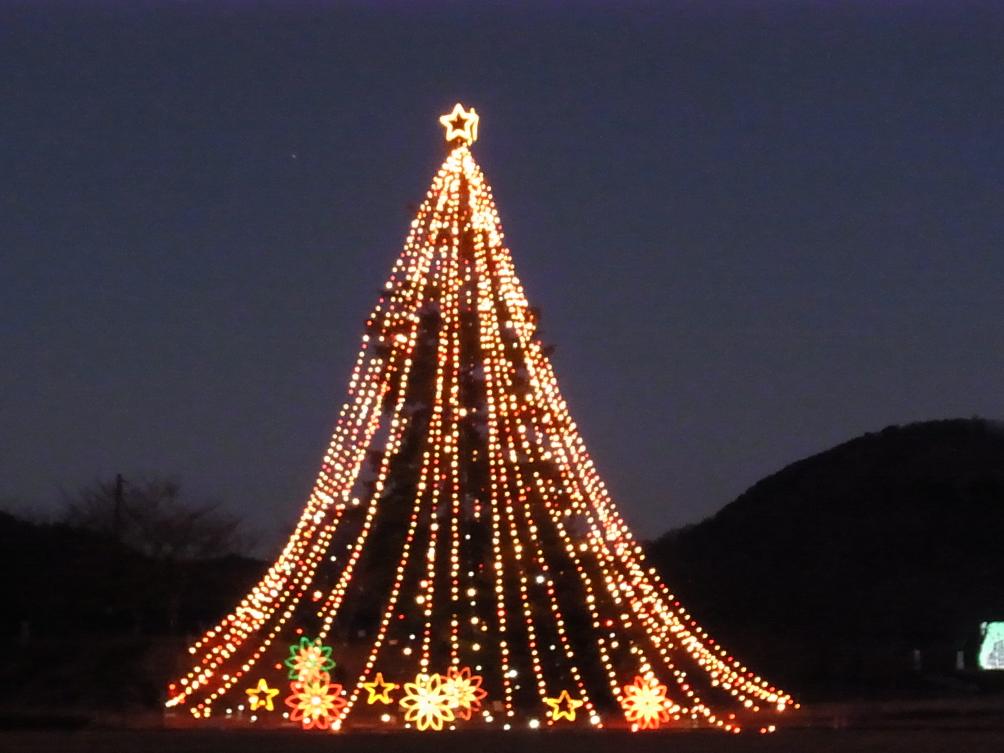 点灯された巨大クリスマスツリー