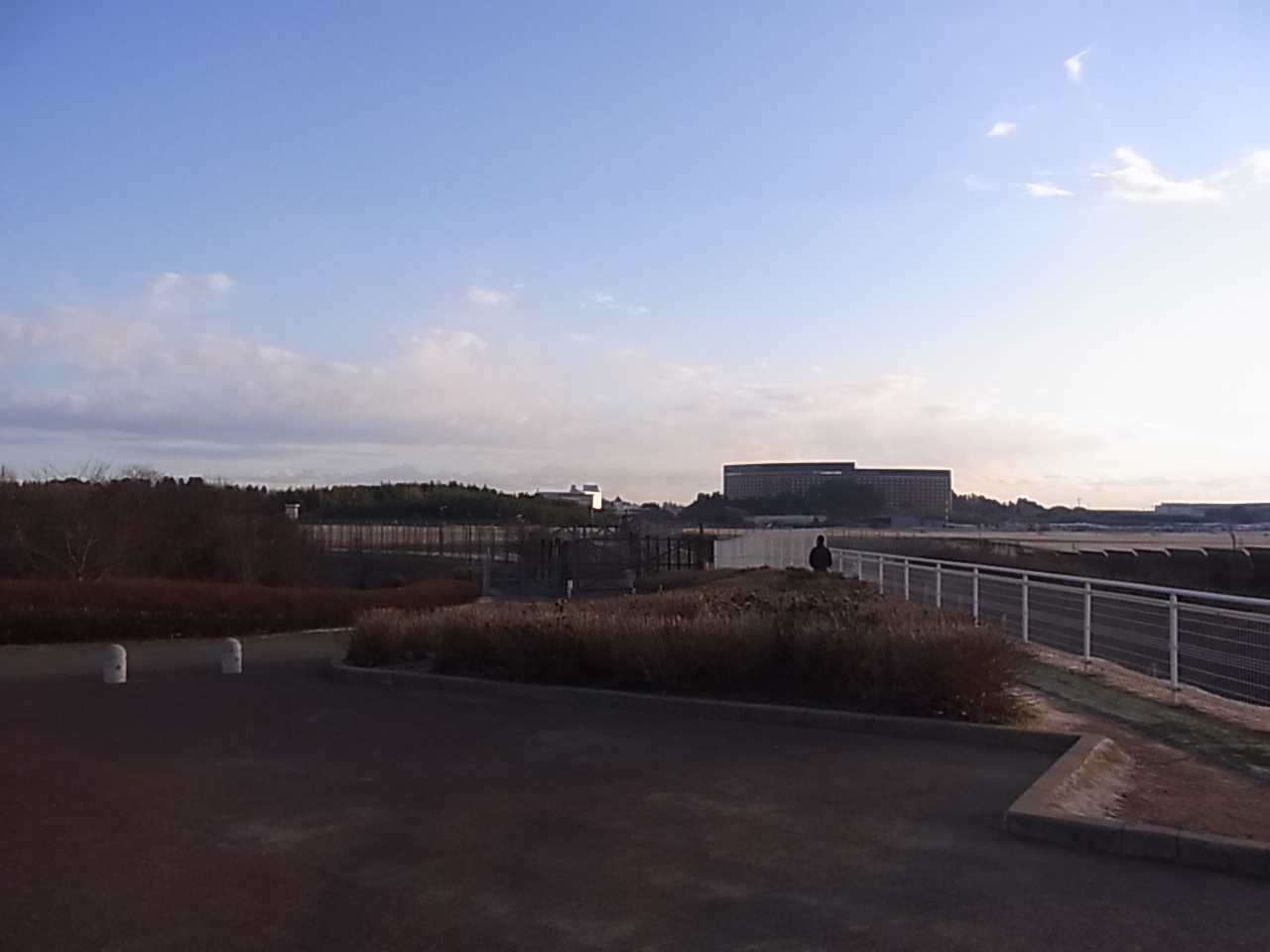 成田市さくらの山公園と成田空港の滑走路