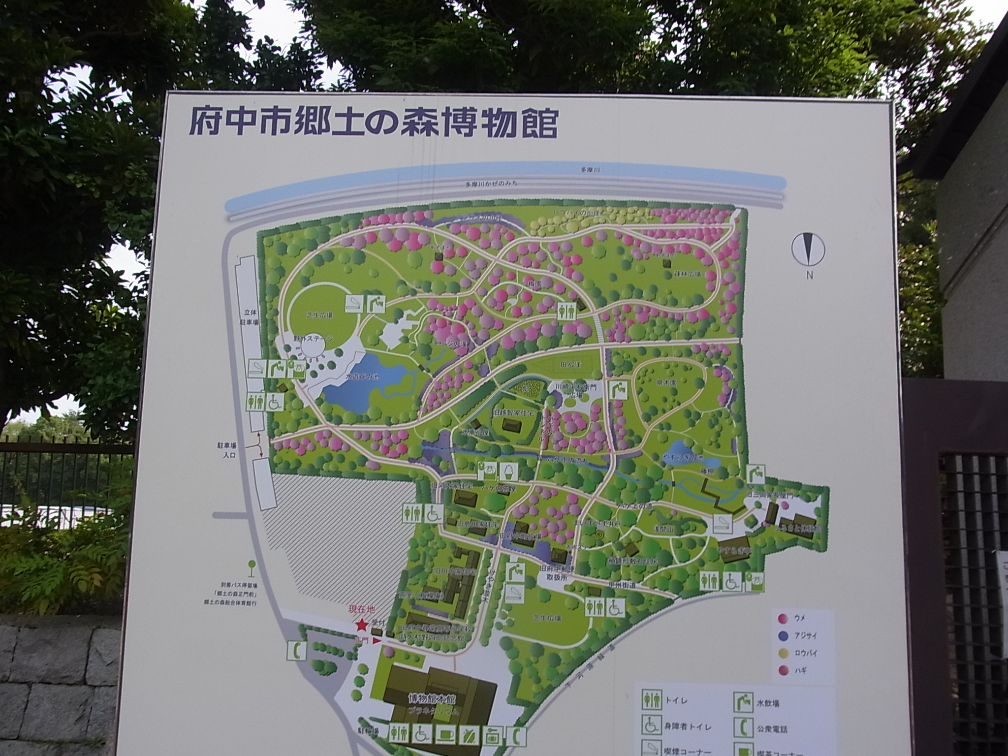 郷土の森博物館の園内地図
