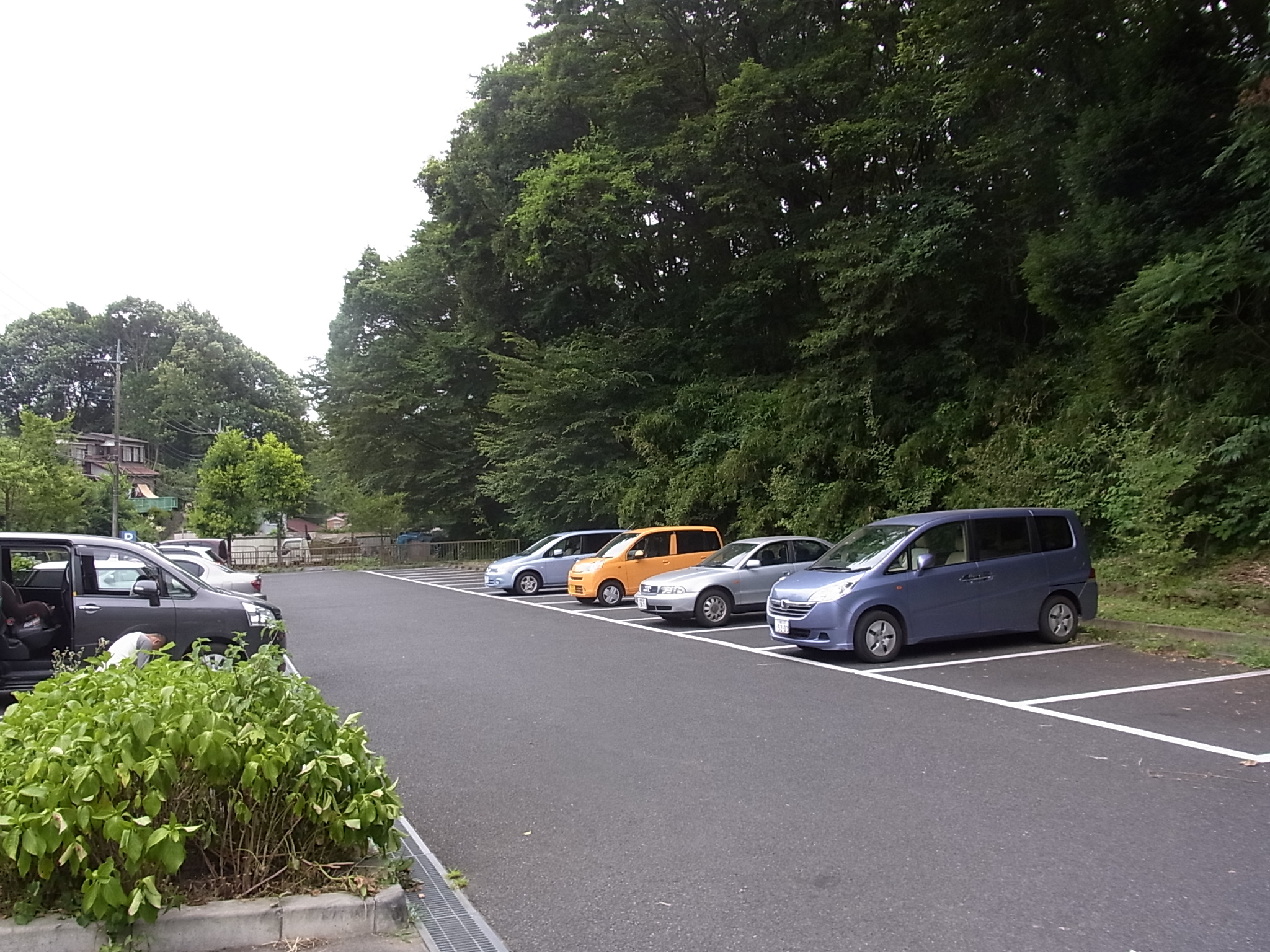 小山田緑地の駐車場
