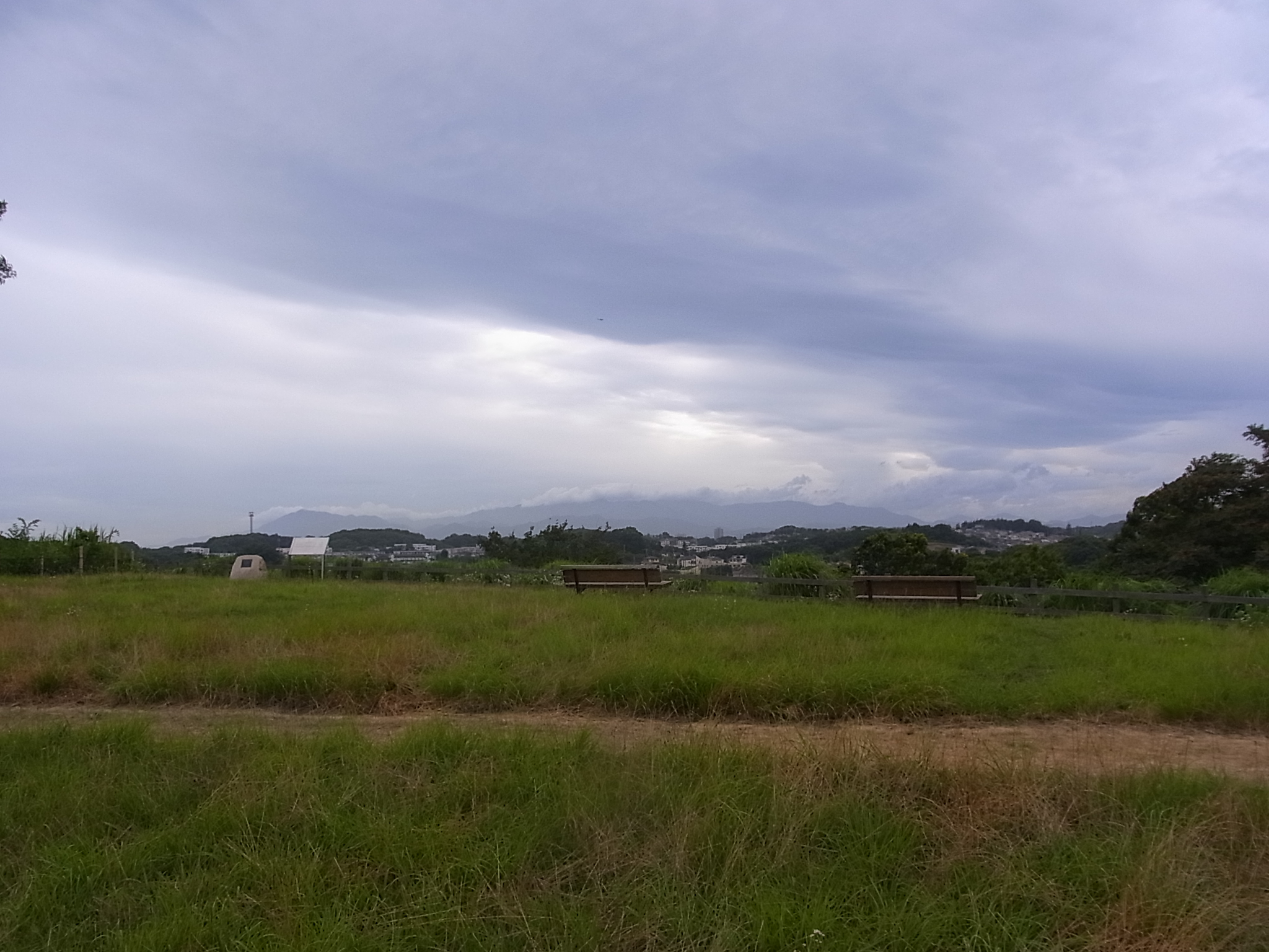 小山田緑地の丘