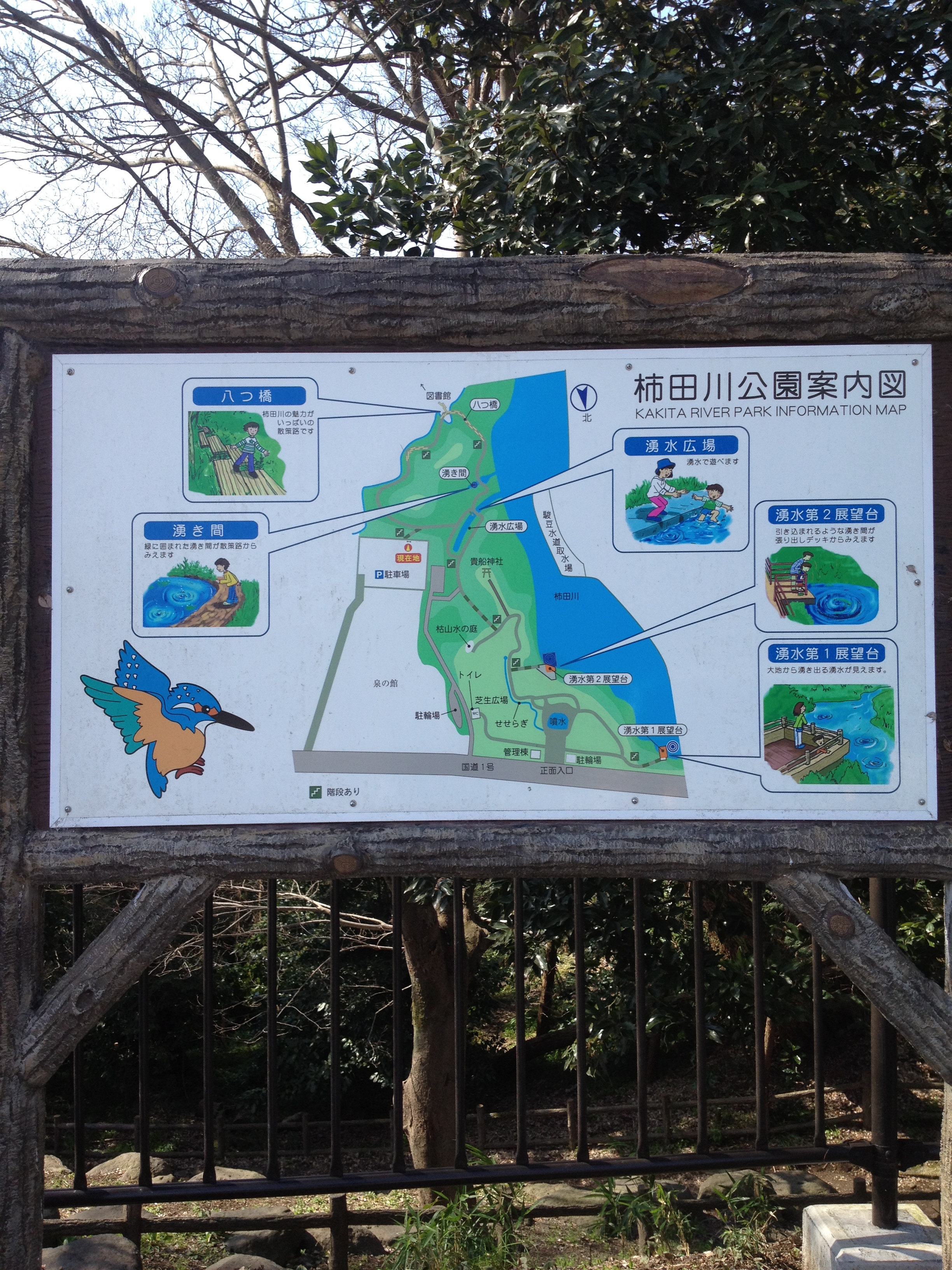 柿田川湧水群周辺の地図