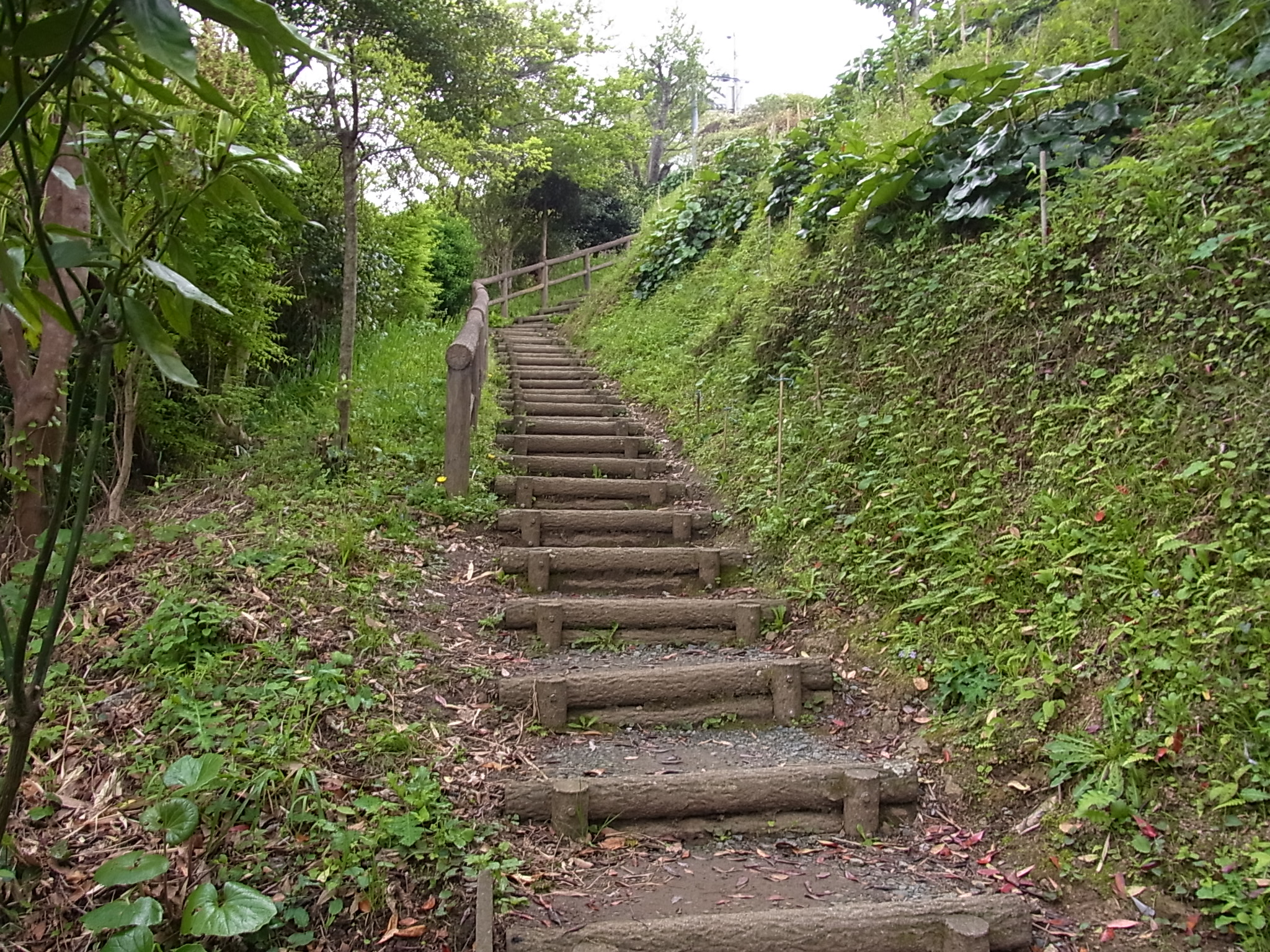 館山城に登る階段
