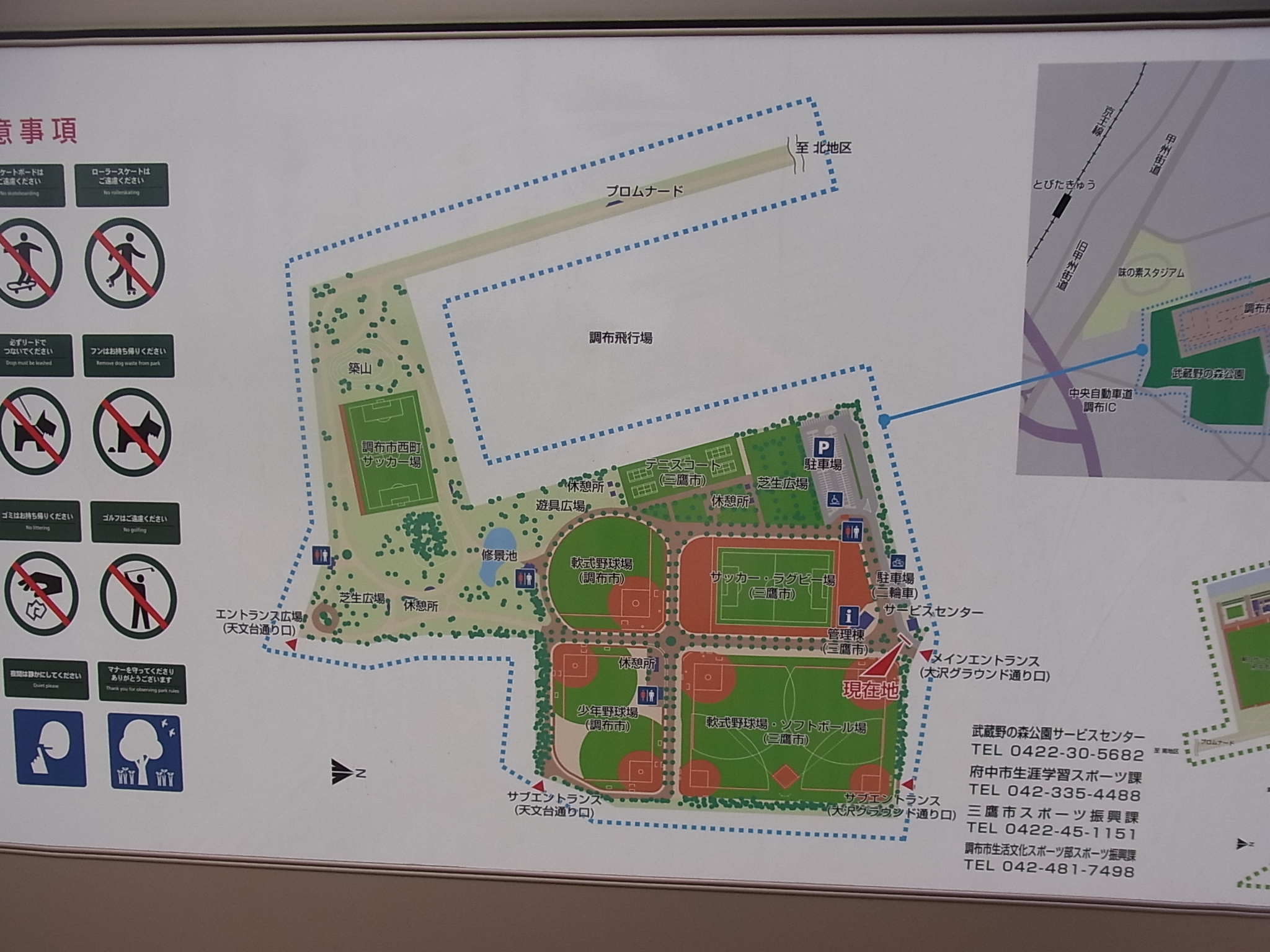 武蔵野の森公園南エリアの地図