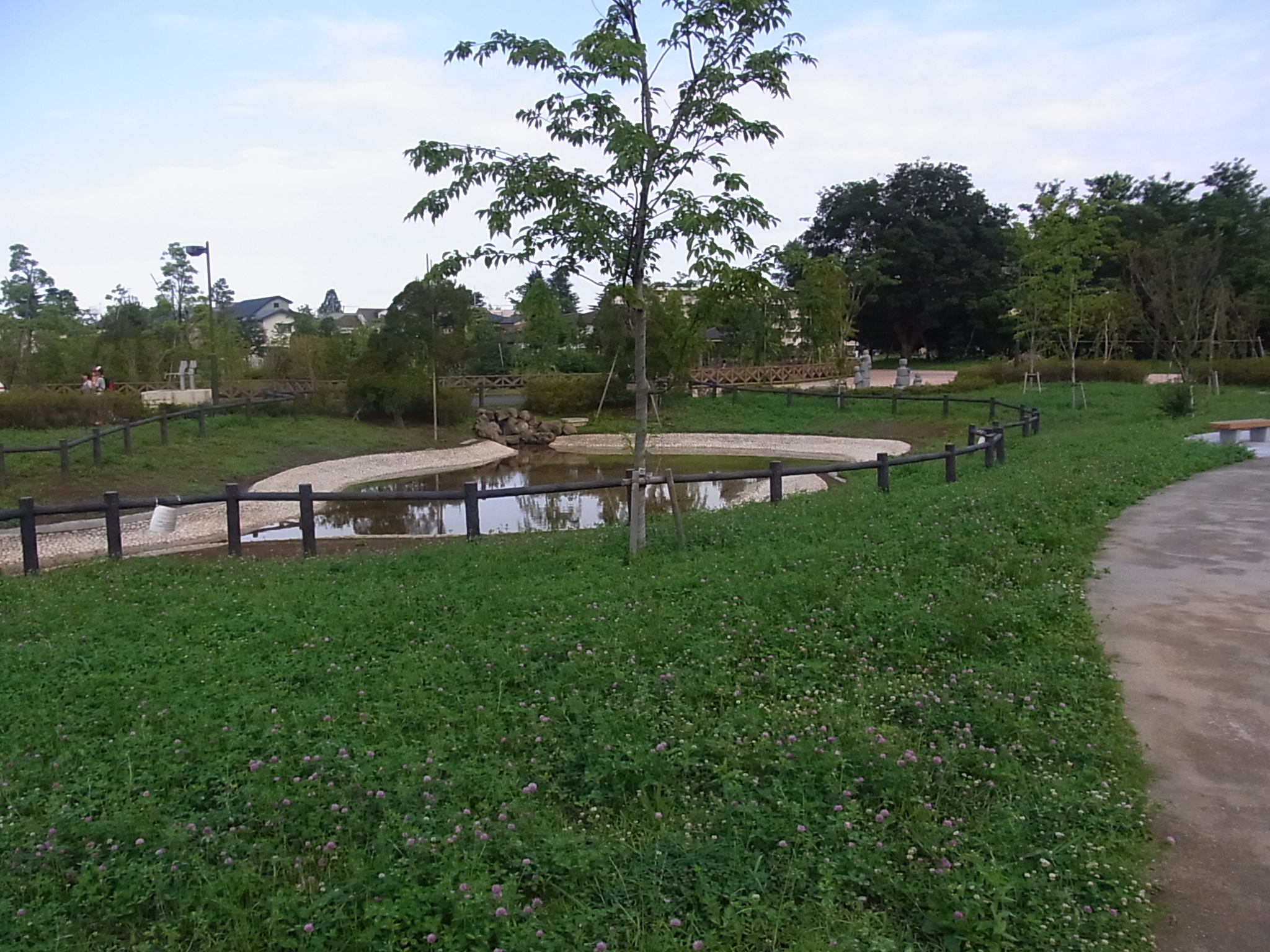 武蔵野の森公園の池