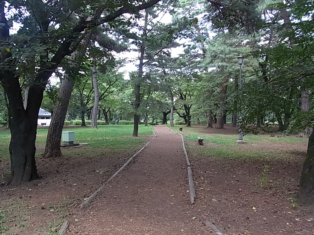 大宮公園の散策路