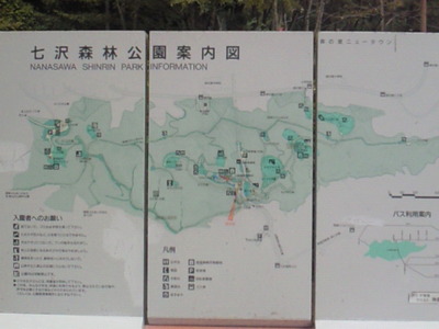 神奈川県立七沢森林公園