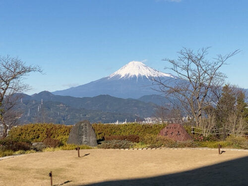 日本平夢テラスの庭園と富士山