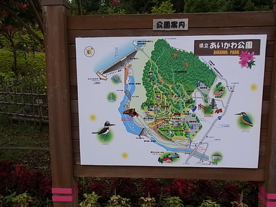 神奈川県立あいかわ公園