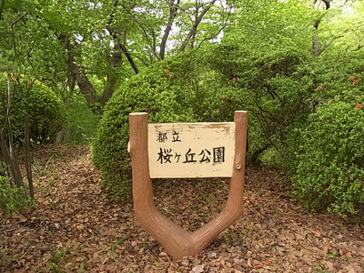 都立　桜ヶ丘公園