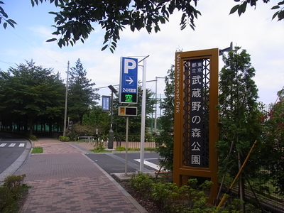 武蔵野の森公園