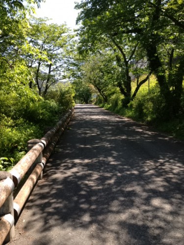 芦ヶ久保駅への道