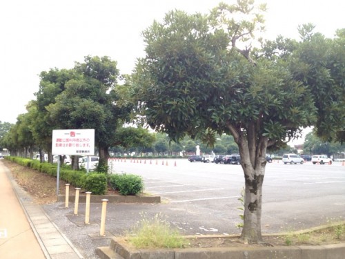太田市運動公園駐車場