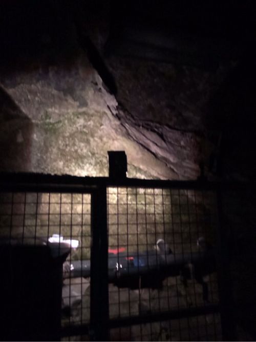 洞窟内の岩肌