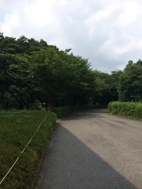 袖ヶ浦公園