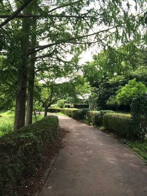 袖ヶ浦公園