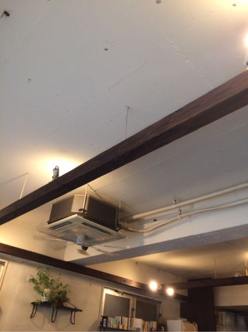リトルスターレストランの天井