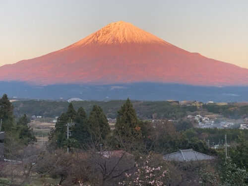 朝霧高原　赤富士