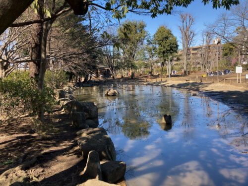 西河原公園の池