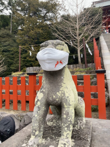 鶴岡八幡宮の狛犬 マスク