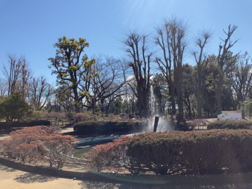 西河原公園の噴水