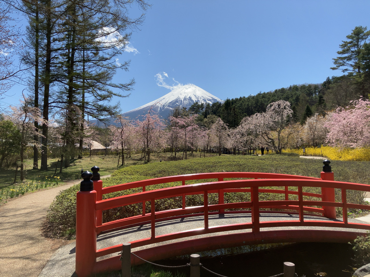 忍野しのびの里